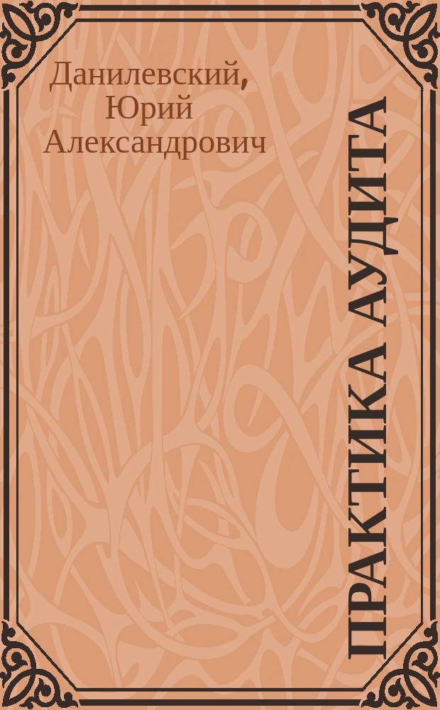 Практика аудита