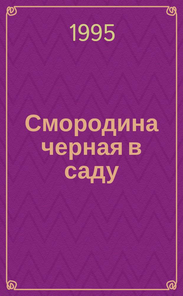 Смородина черная в саду