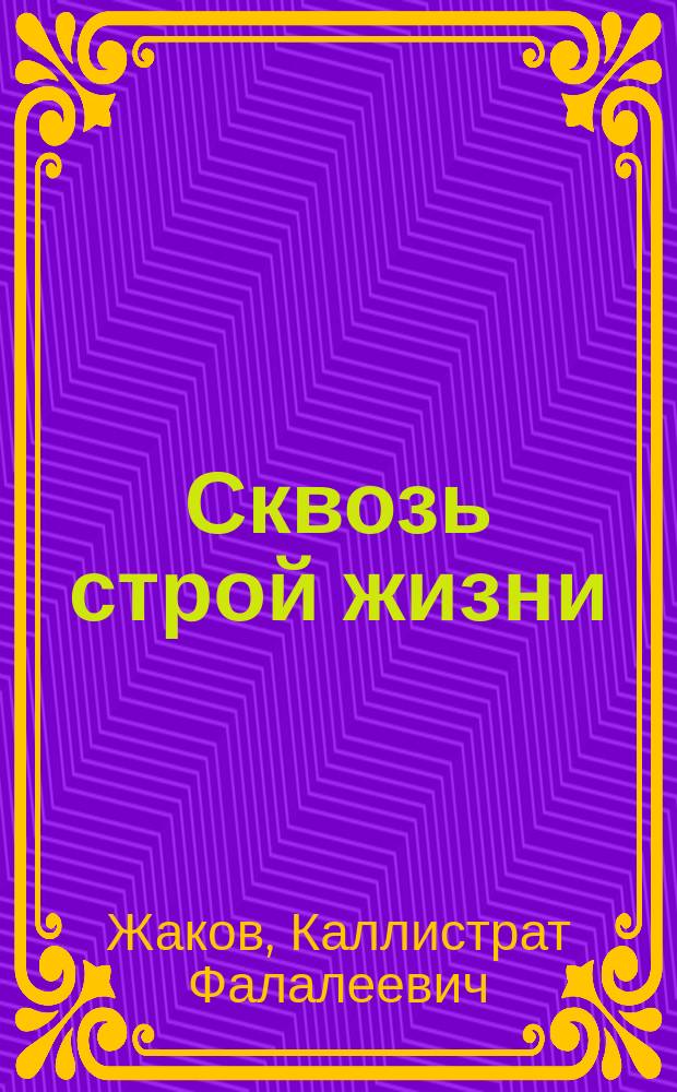 Сквозь строй жизни : Роман