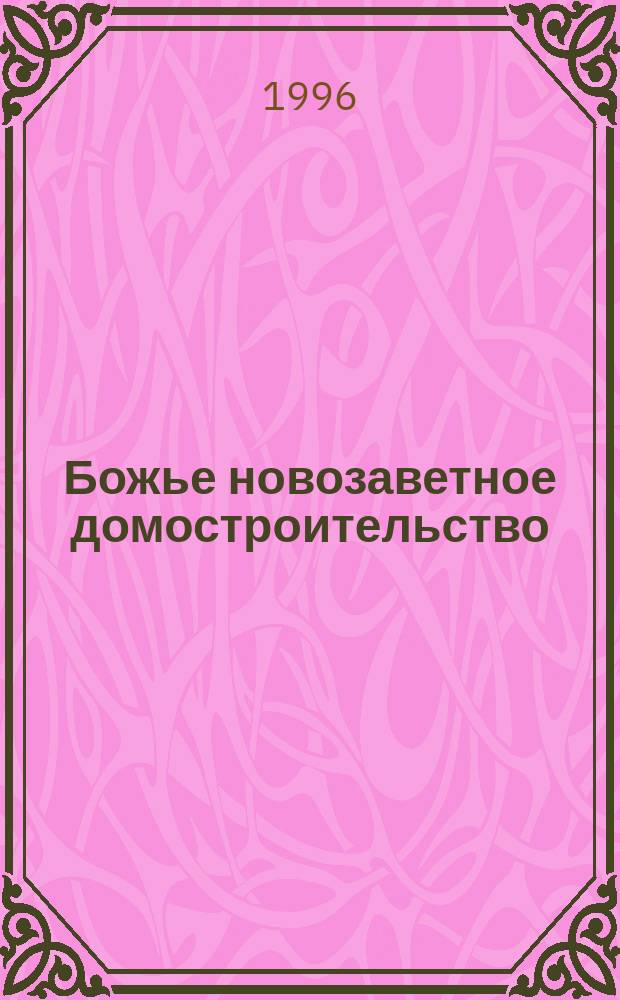 Божье новозаветное домостроительство : [Пер. с англ.]. Т. 2