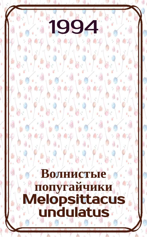 Волнистые попугайчики Melopsittacus undulatus : Птицы в нашем доме