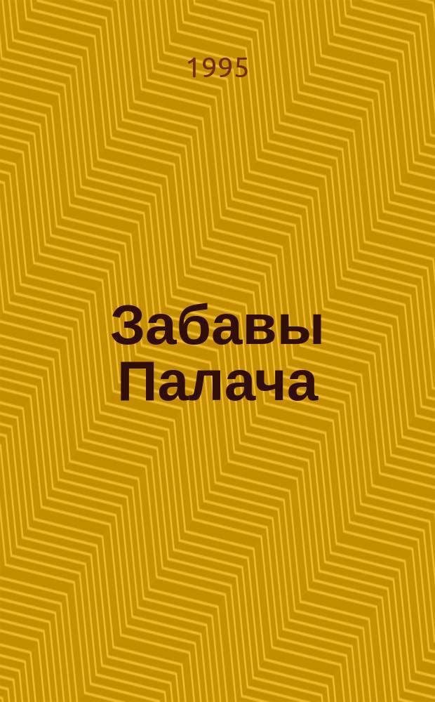 Забавы Палача : Роман
