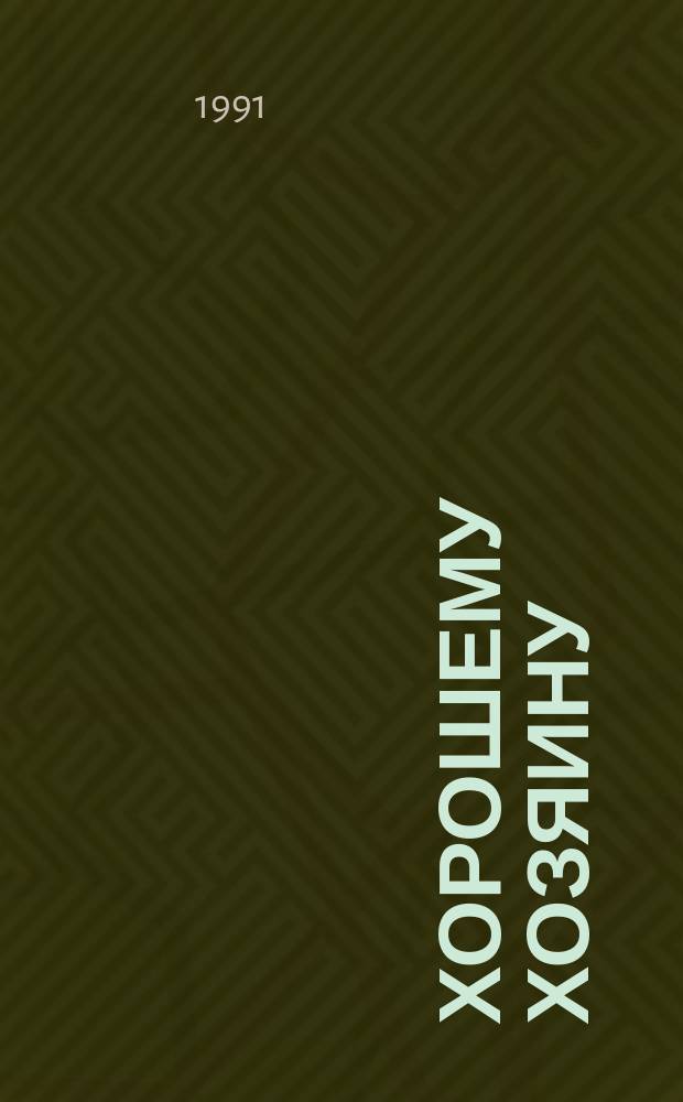 Хорошему хозяину : Советы мужчине в доме