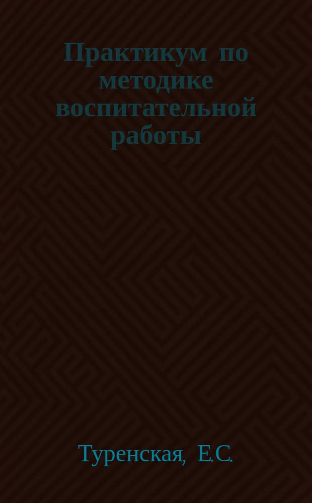 Практикум по методике воспитательной работы : Учеб. пособие