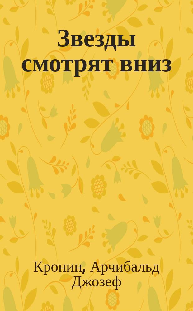 Звезды смотрят вниз : Роман