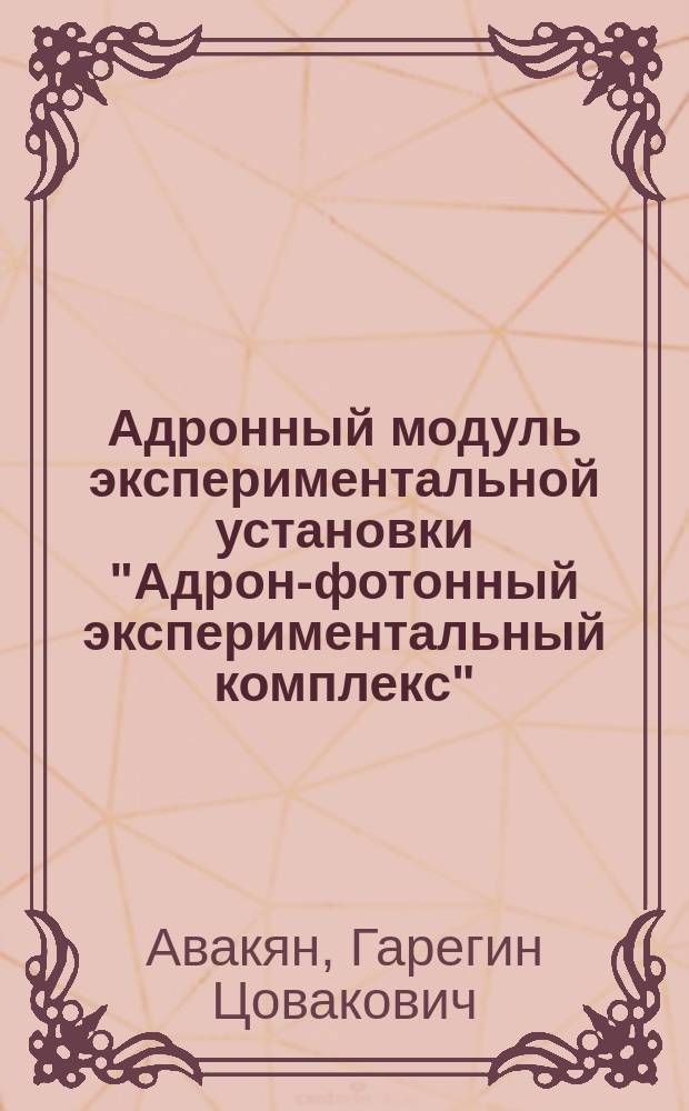 Адронный модуль экспериментальной установки "Адрон-фотонный экспериментальный комплекс" : Автореф. дис. на соиск. учен. степ. канд. техн. наук : (01.04.16)