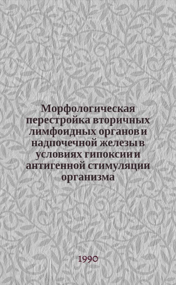 Морфологическая перестройка вторичных лимфоидных органов и надпочечной железы в условиях гипоксии и антигенной стимуляции организма : (Эксперим. исслед.) : Автореф. дис. на соиск. учен. степ. канд. мед. наук : (14.00.15)