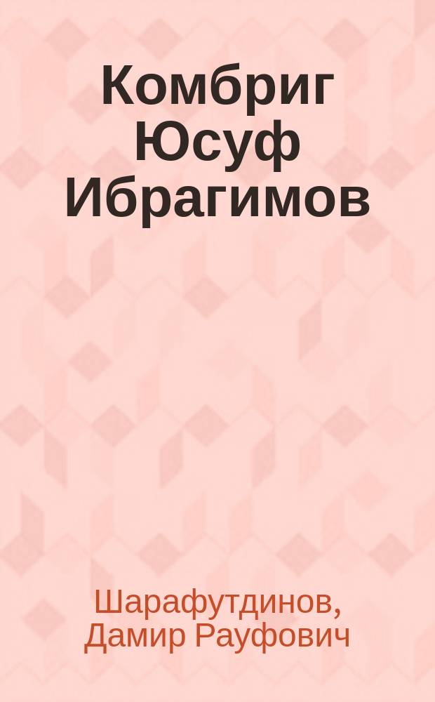 Комбриг Юсуф Ибрагимов : Командир 1-й отд. Приволж. татар. стрелковой бригады в годы гражд. войны : Повесть в документах