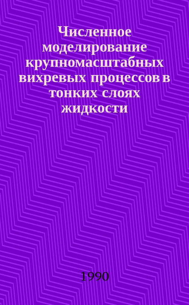 Численное моделирование крупномасштабных вихревых процессов в тонких слоях жидкости : Автореф. дис. на соиск. учен. степ. канд. физ.-мат. наук : (01.02.05)