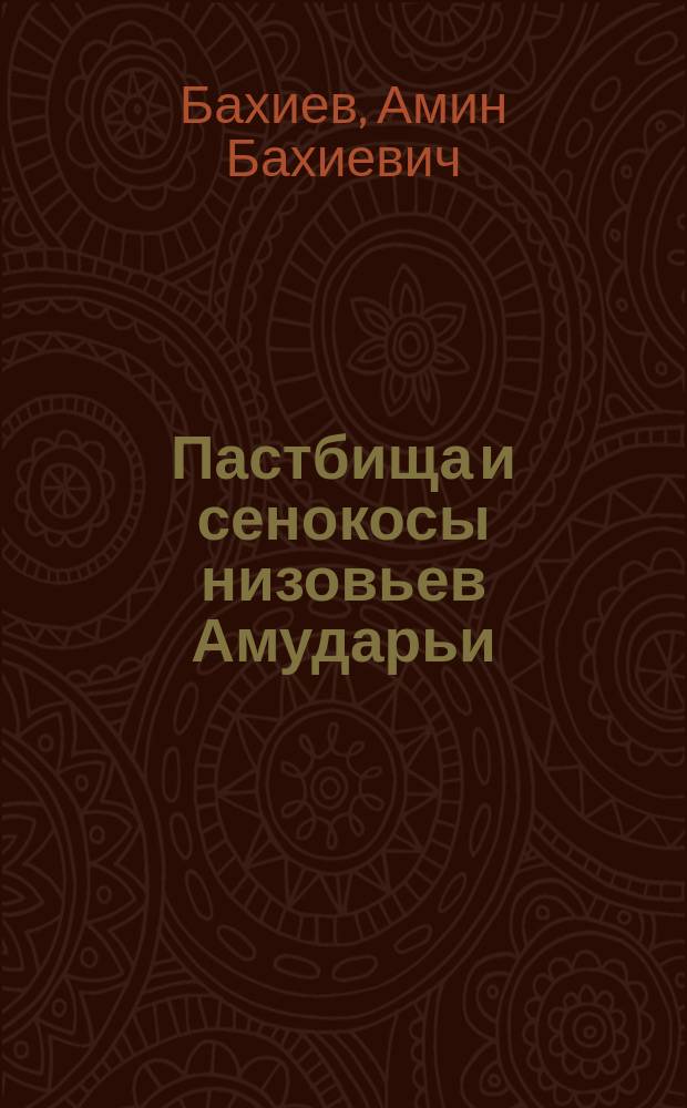 Пастбища и сенокосы низовьев Амударьи