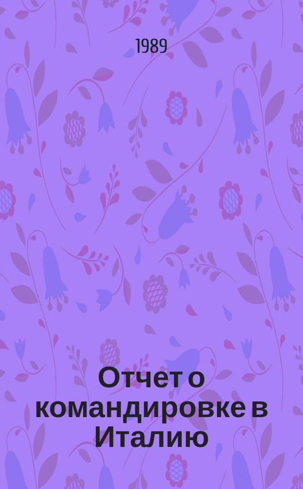 Отчет о командировке в Италию