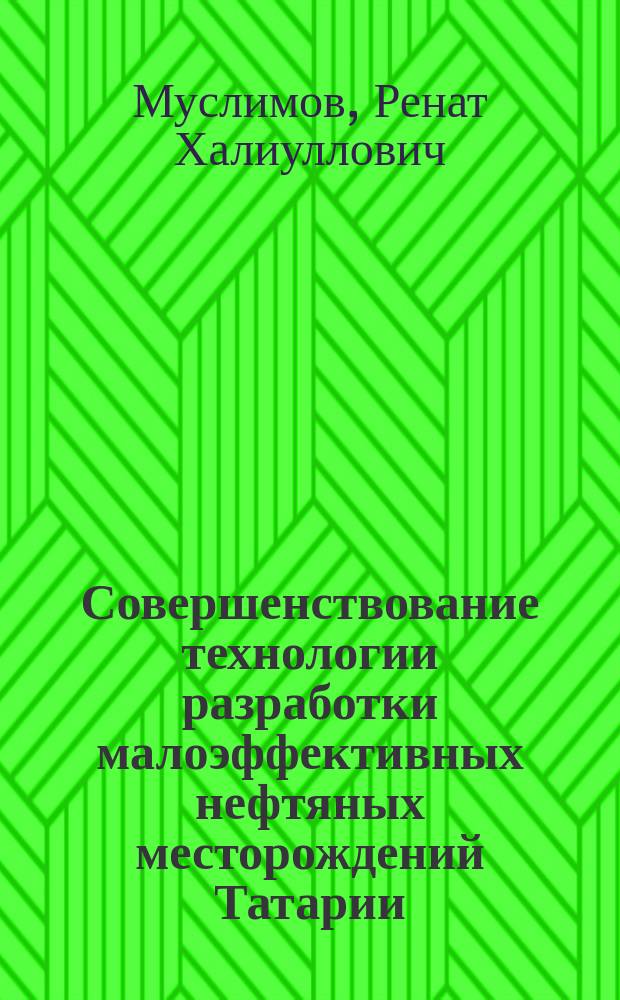 Совершенствование технологии разработки малоэффективных нефтяных месторождений Татарии
