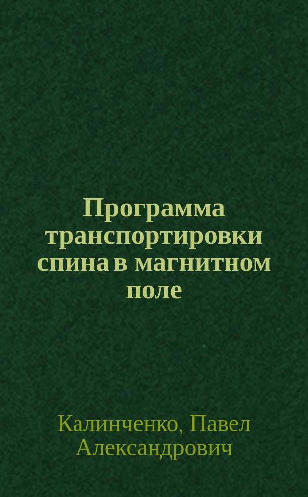 Программа транспортировки спина в магнитном поле