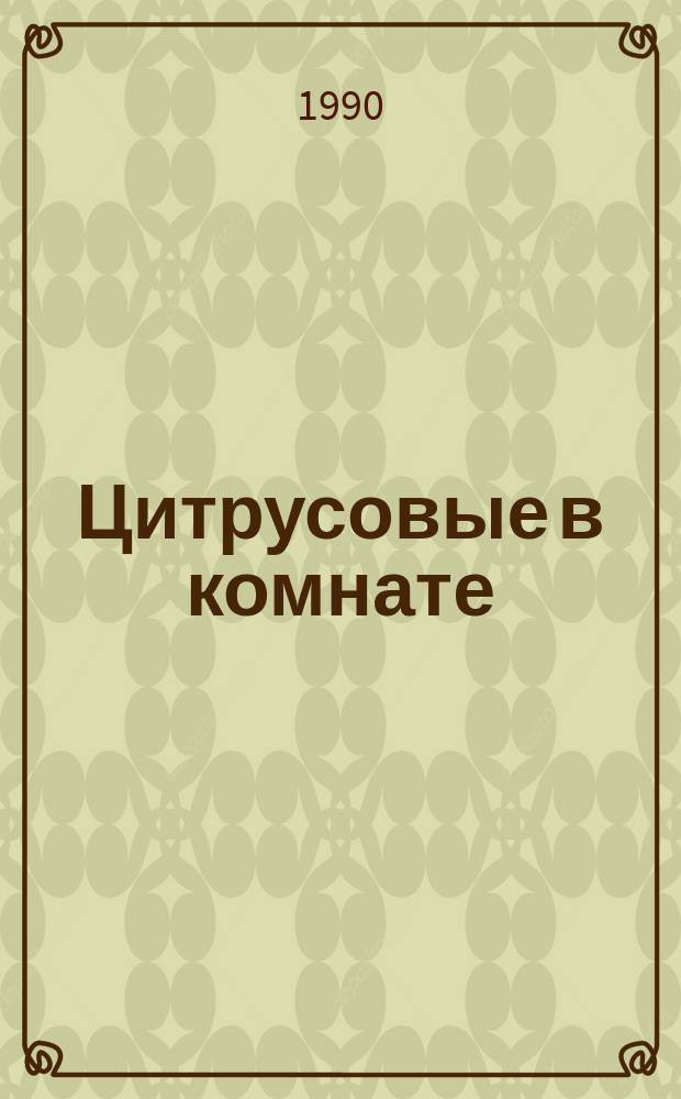 Цитрусовые в комнате