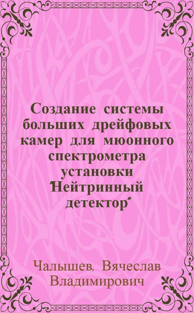 Создание системы больших дрейфовых камер для мюонного спектрометра установки "Нейтринный детектор" : Автореф. дис. на соиск. учен. степ. канд. техн. наук : (01.04.01)