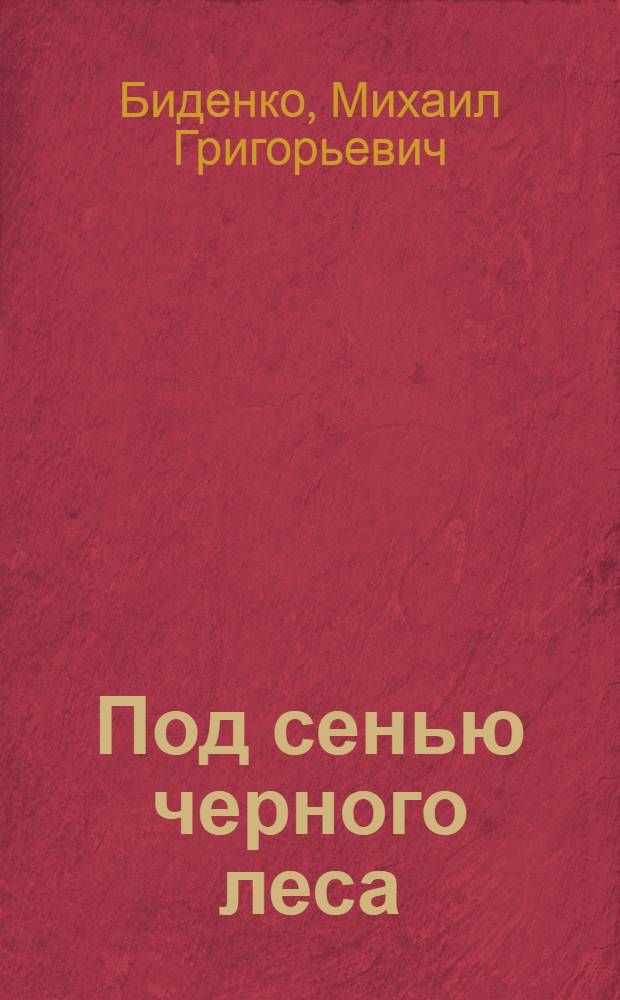 Под сенью черного леса : Краевед. очерки