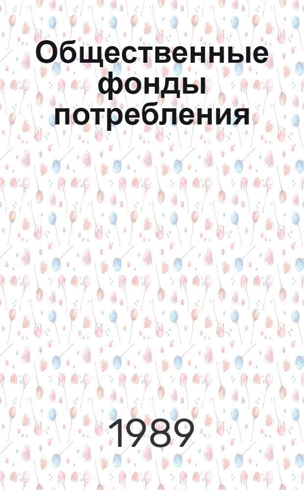 Общественные фонды потребления : Справочник