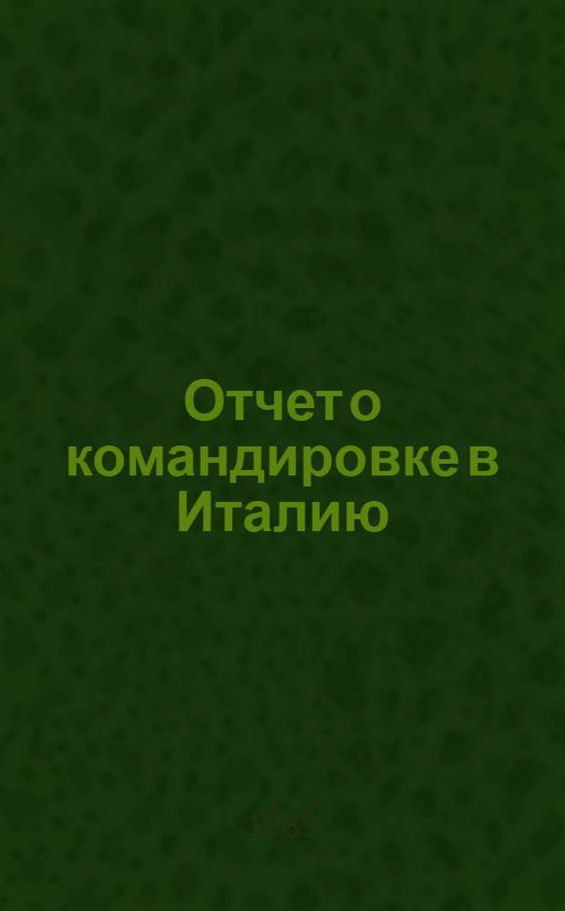 Отчет о командировке в Италию
