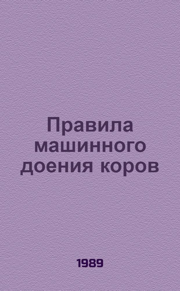 Правила машинного доения коров