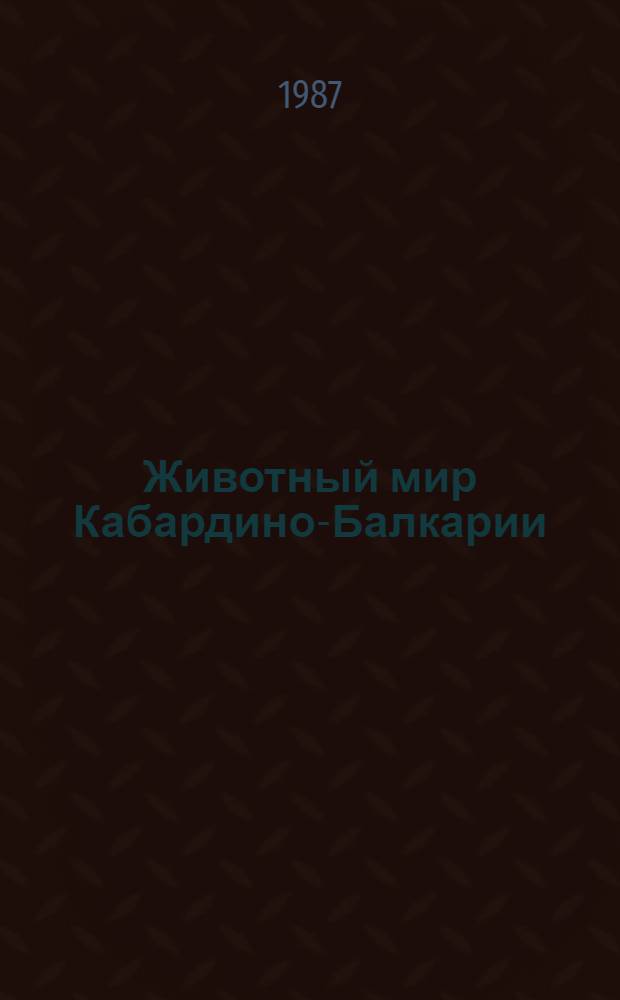 Животный мир Кабардино-Балкарии : Насекомые