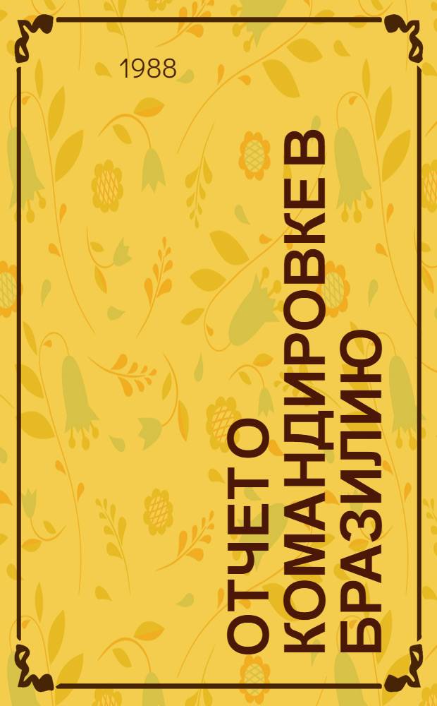 Отчет о командировке в Бразилию