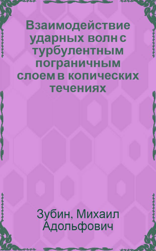 Взаимодействие ударных волн с турбулентным пограничным слоем в копических течениях : Автореф. дис. на соиск. учен. степ. канд. физ.-мат. наук : (01.02.05)