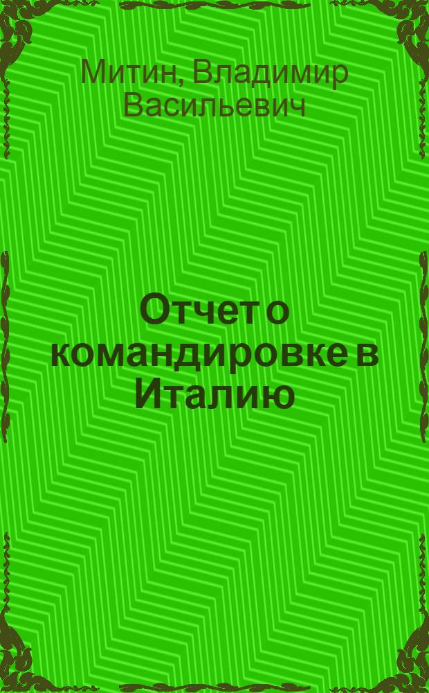 Отчет о командировке в Италию