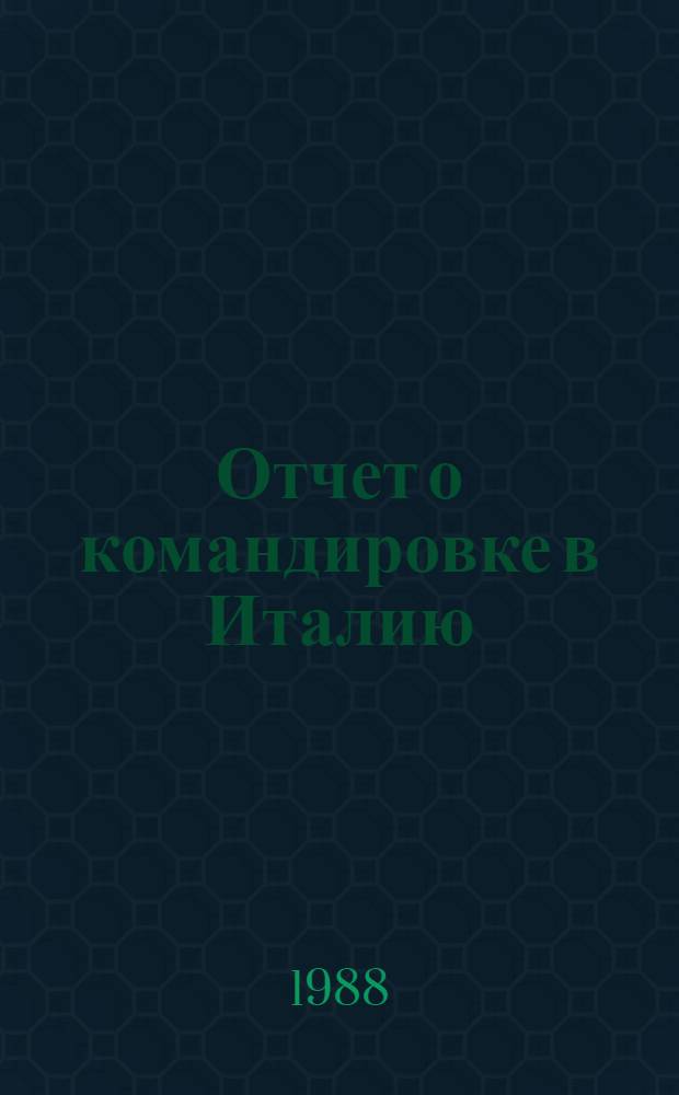 Отчет о командировке в Италию