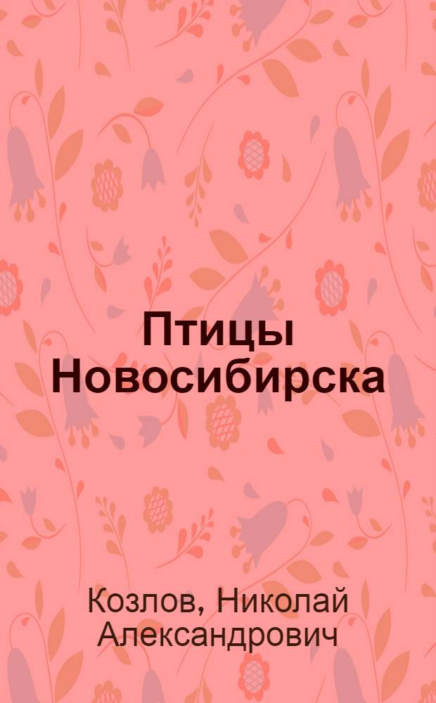 Птицы Новосибирска (пространственно-временная организация населения)