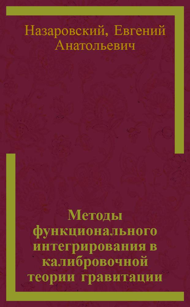 Методы функционального интегрирования в калибровочной теории гравитации : Автореф. дис. на соиск. учен. степ. канд. физ.-мат. наук : (01.04.02)