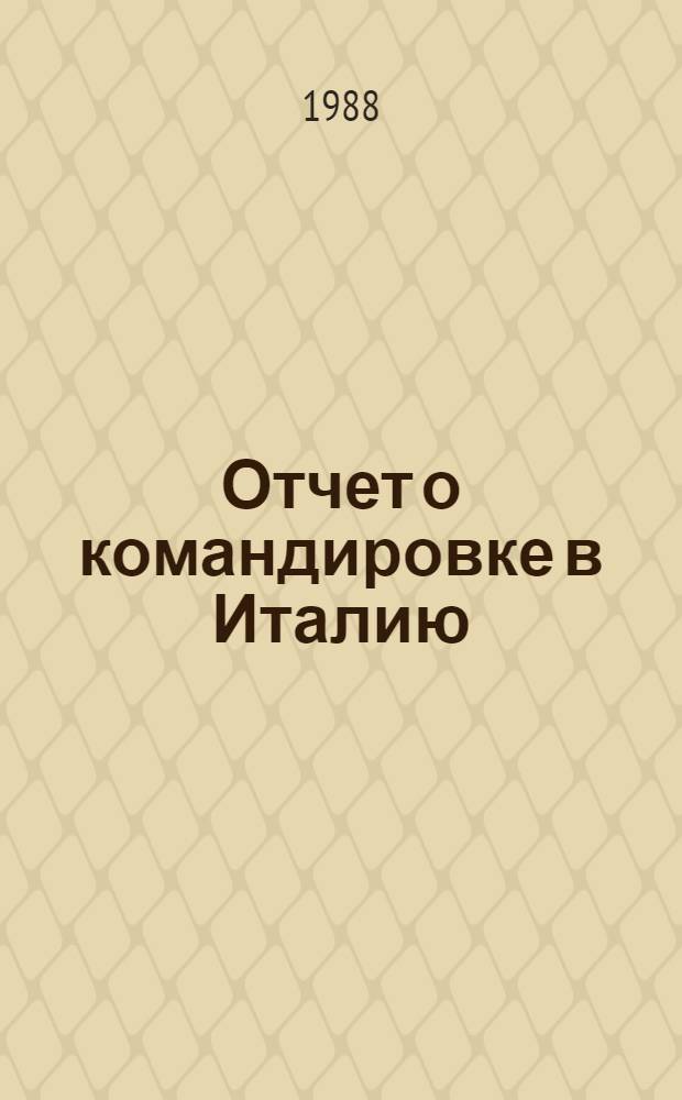 Отчет о командировке в Италию