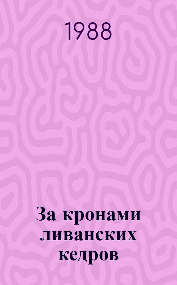 За кронами ливанских кедров