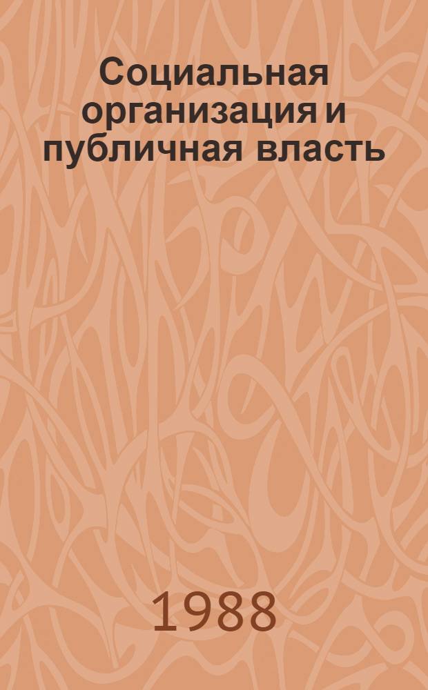 Социальная организация и публичная власть : Автореф. дис. на соиск. учен. степ. д-ра филос. наук : (09.00.01)