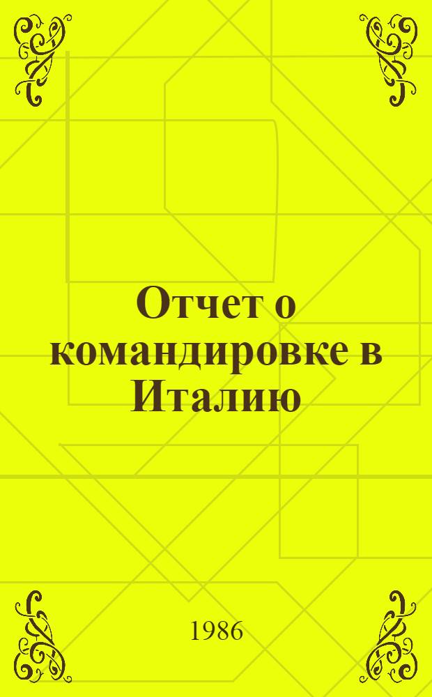 Отчет о командировке в Италию