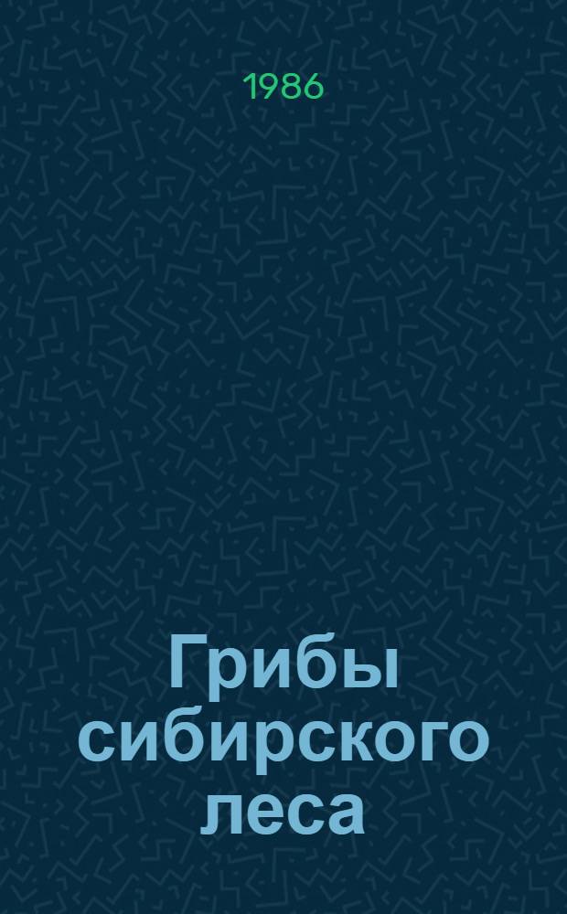 Грибы сибирского леса