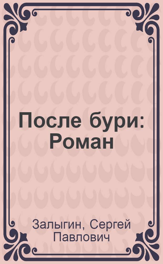 После бури : Роман