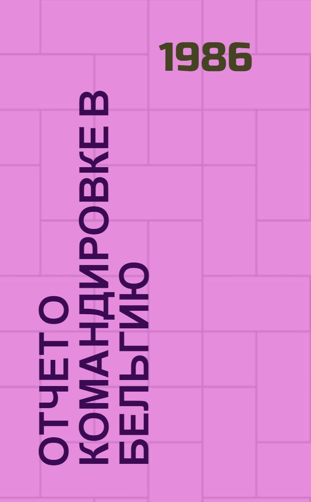 Отчет о командировке в Бельгию