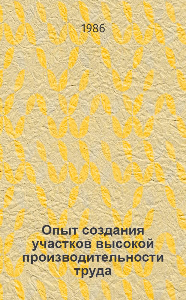 Опыт создания участков высокой производительности труда