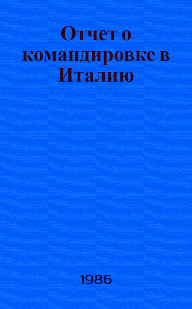 Отчет о командировке в Италию