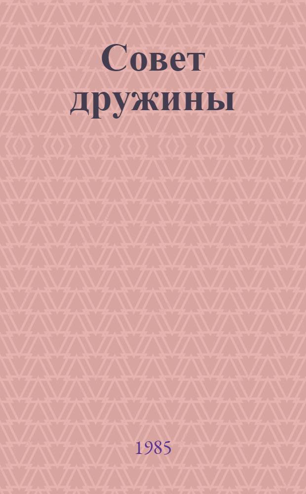 Совет дружины