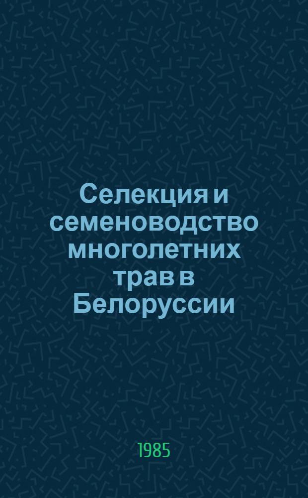 Селекция и семеноводство многолетних трав в Белоруссии