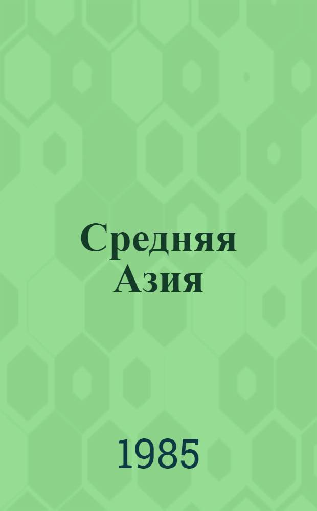 Средняя Азия : Архит. памятники IX-XIX веков : Фотоальбом