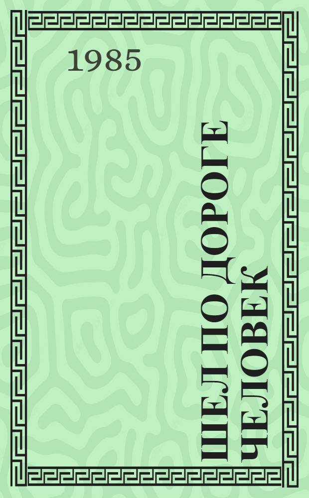 Шел по дороге человек : Роман