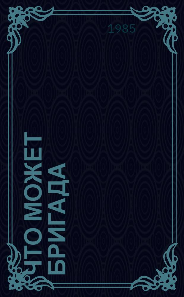 Что может бригада : (Сб. очерков)