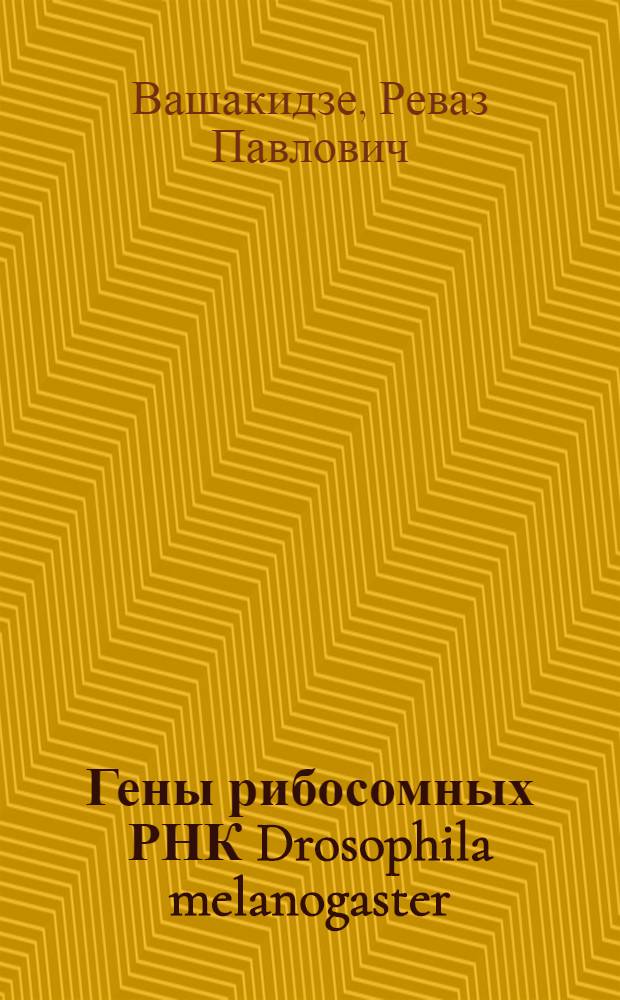 Гены рибосомных РНК Drosophila melanogaster: их структура и организация в составе хроматина : Автореф. дис. на соиск. учен. степ. канд. биол. наук : (03.00.03)