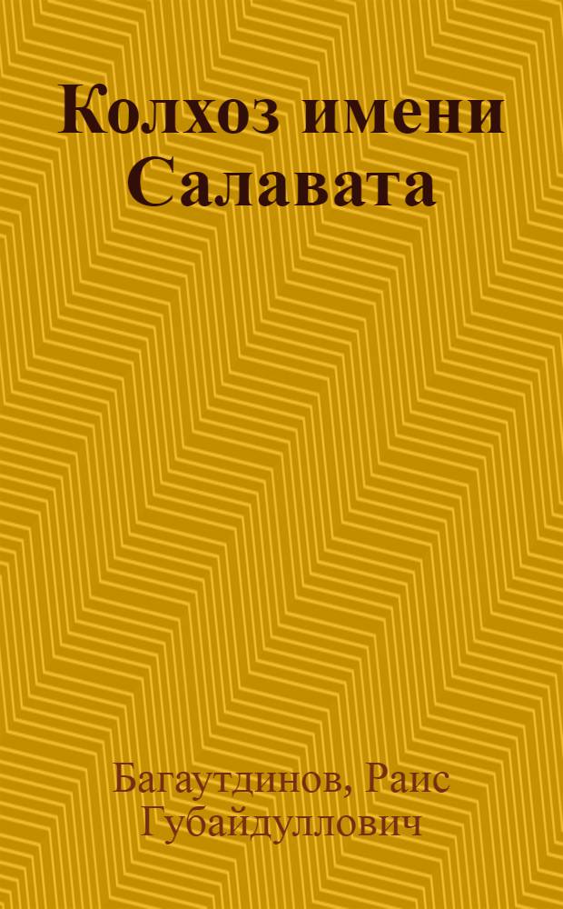 Колхоз имени Салавата : Стерлитамак. р-н