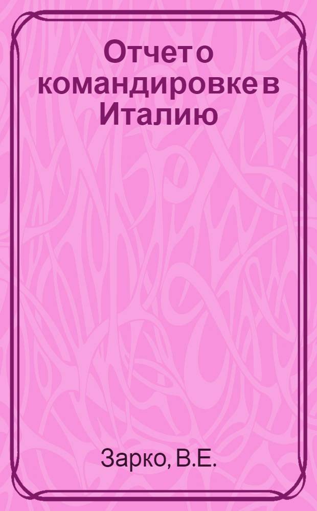 Отчет о командировке в Италию