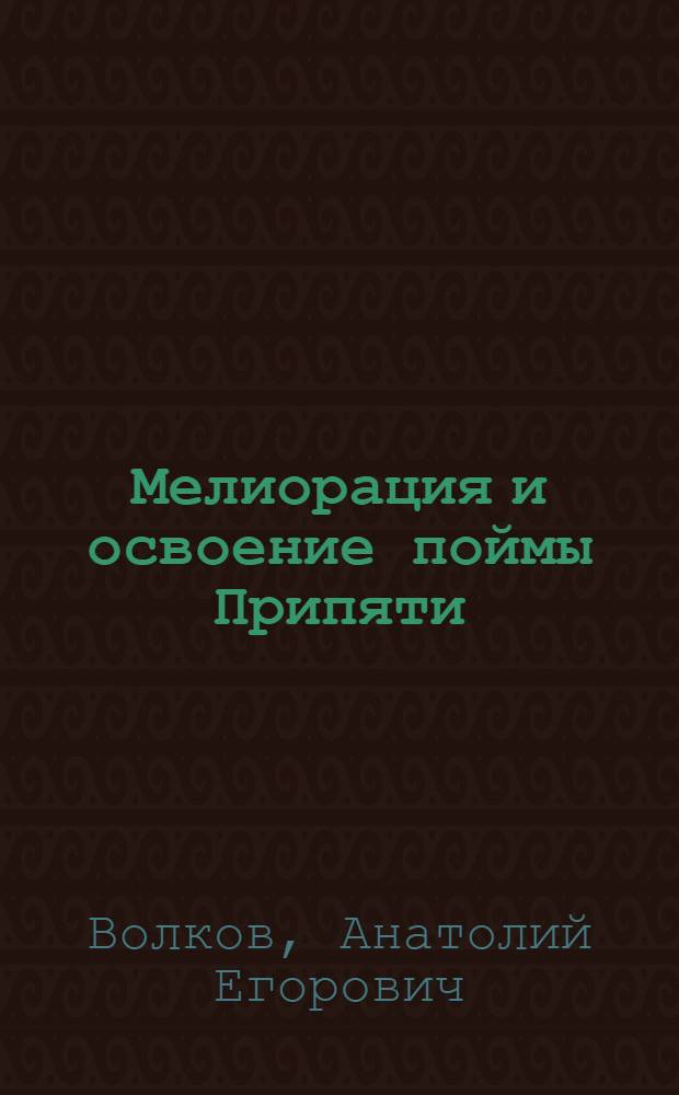 Мелиорация и освоение поймы Припяти