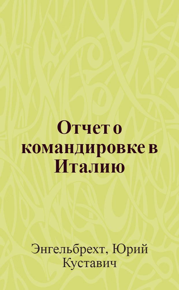 Отчет о командировке в Италию