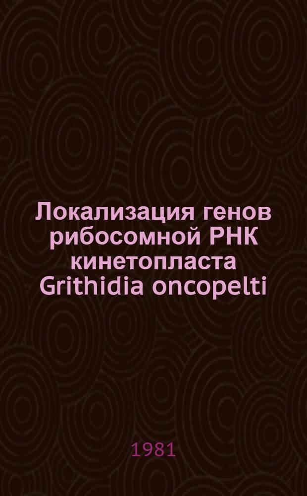 Локализация генов рибосомной РНК кинетопласта Grithidia oncopelti : Автореф. дис. на соиск. учен. степ. канд. биол. наук : (03.00.03)